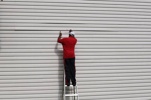 Professional Siding in Farmington, NM