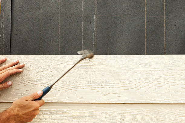 Best Stucco Siding  in Farmington, NM